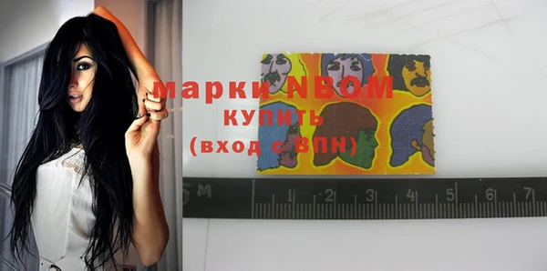 прущие грибы Семилуки