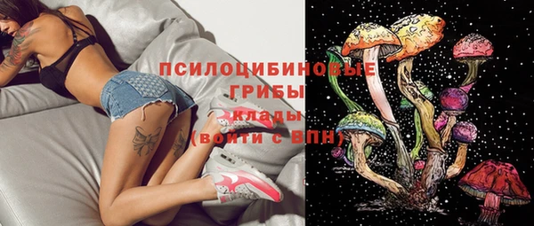 крисы Алзамай
