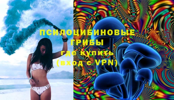 крисы Алзамай