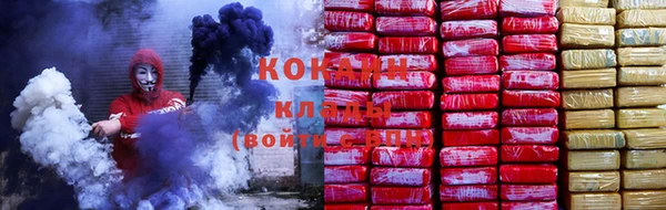 ПСИЛОЦИБИНОВЫЕ ГРИБЫ Семёнов