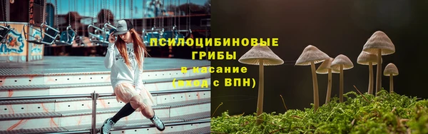 крисы Алзамай