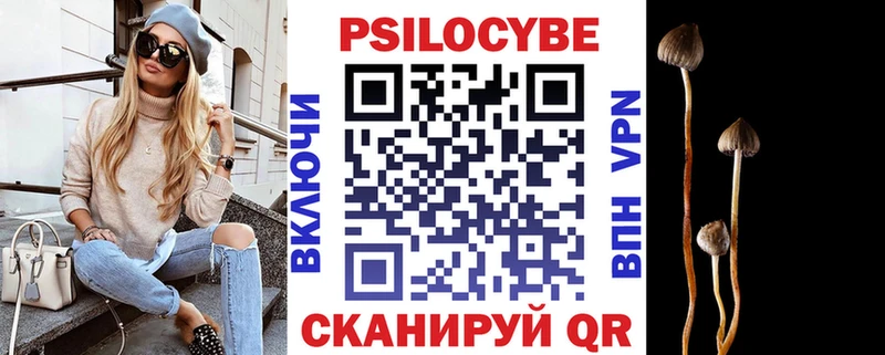 Псилоцибиновые грибы Cubensis  Калач-на-Дону 